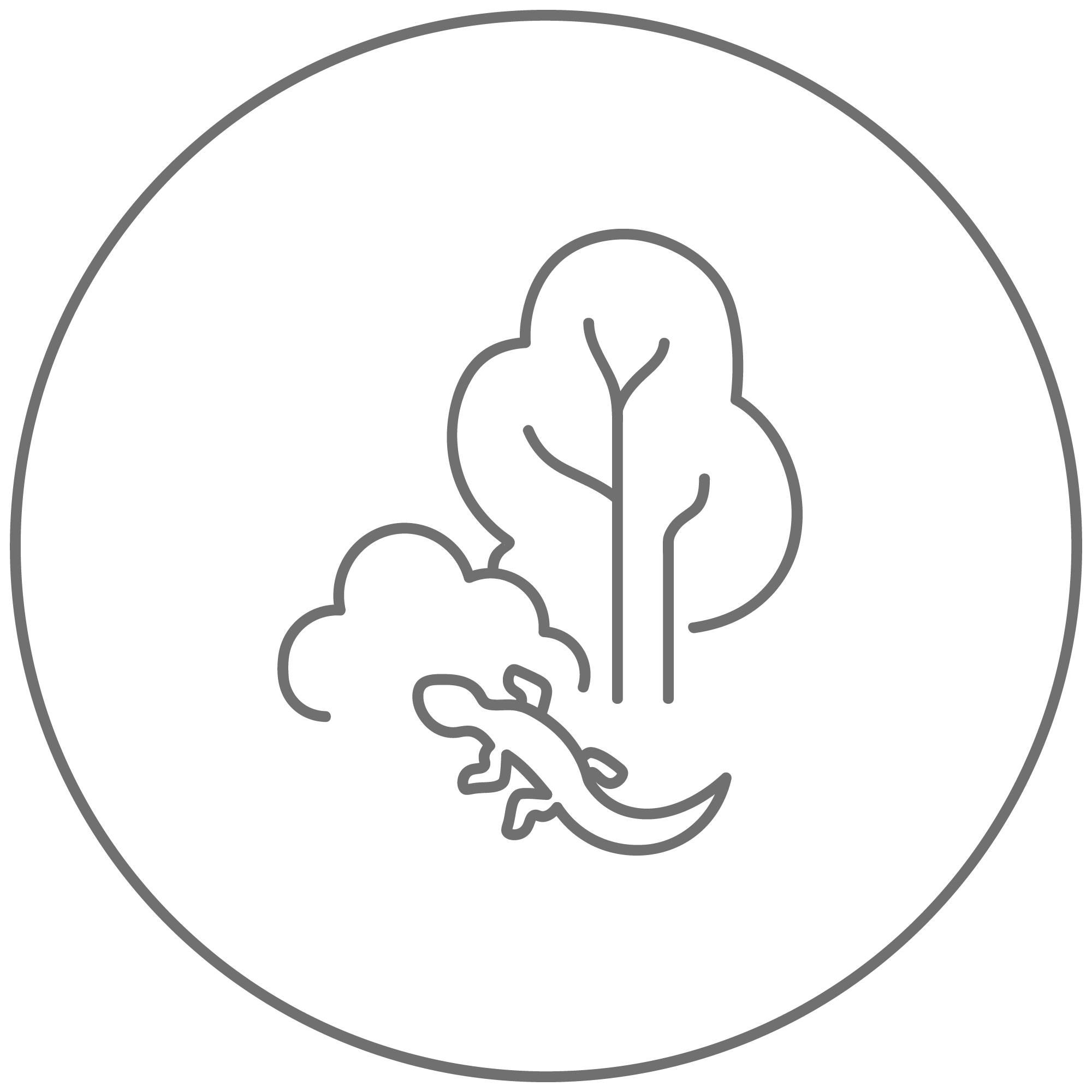 Landschaftsplanung / Landschaftsökologie Icon